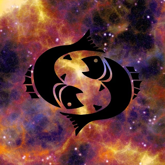 What's your zodiac sign? Full analysis of birth dates of the twelve zodiac signs